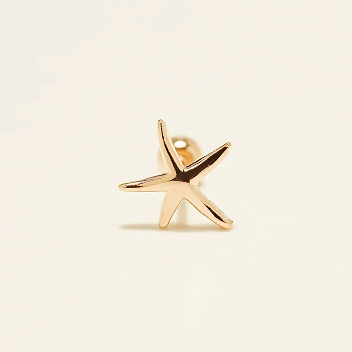 MinimalBijoux Earrings 14K Gold Twinkle Stars Cartilage Earrings 20G18G16G